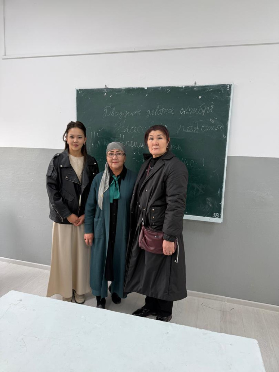 Mentoring in the practice process