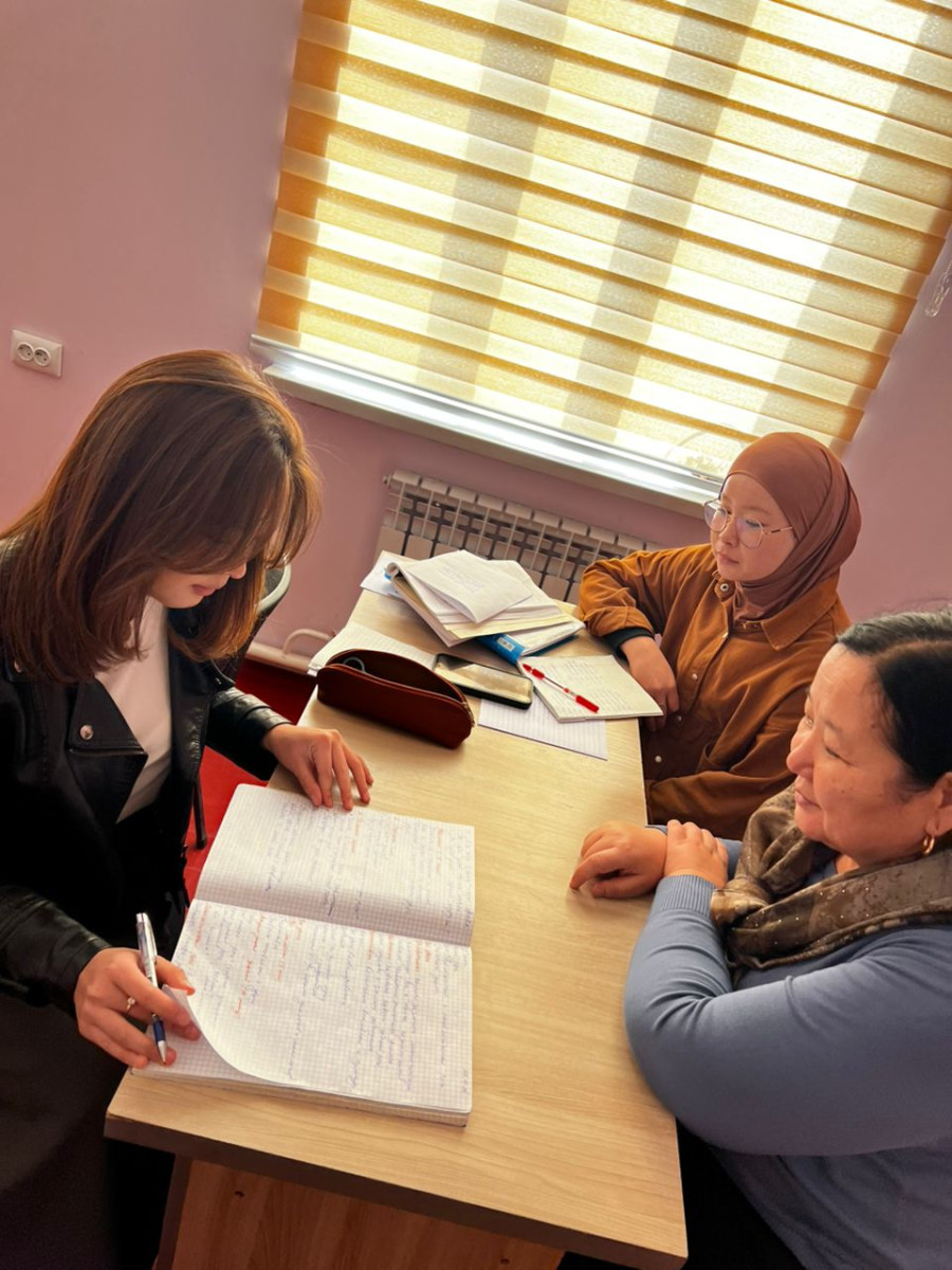 Mentoring assistance