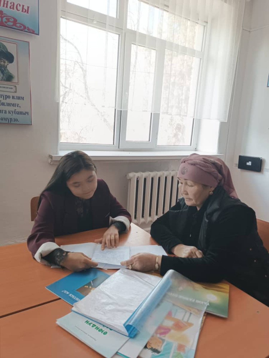 Mentoring in the practice process