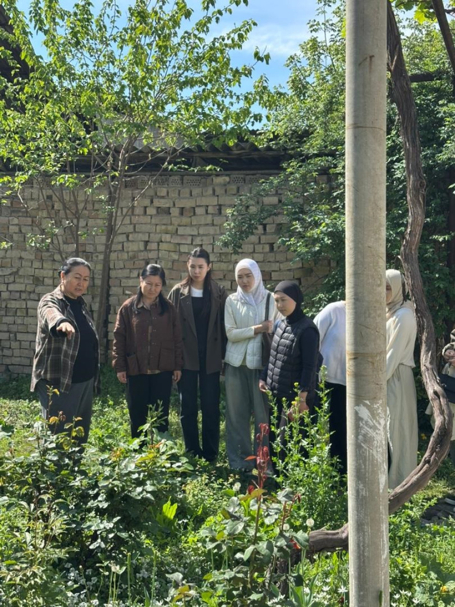 Обмен опытом и новые возможности