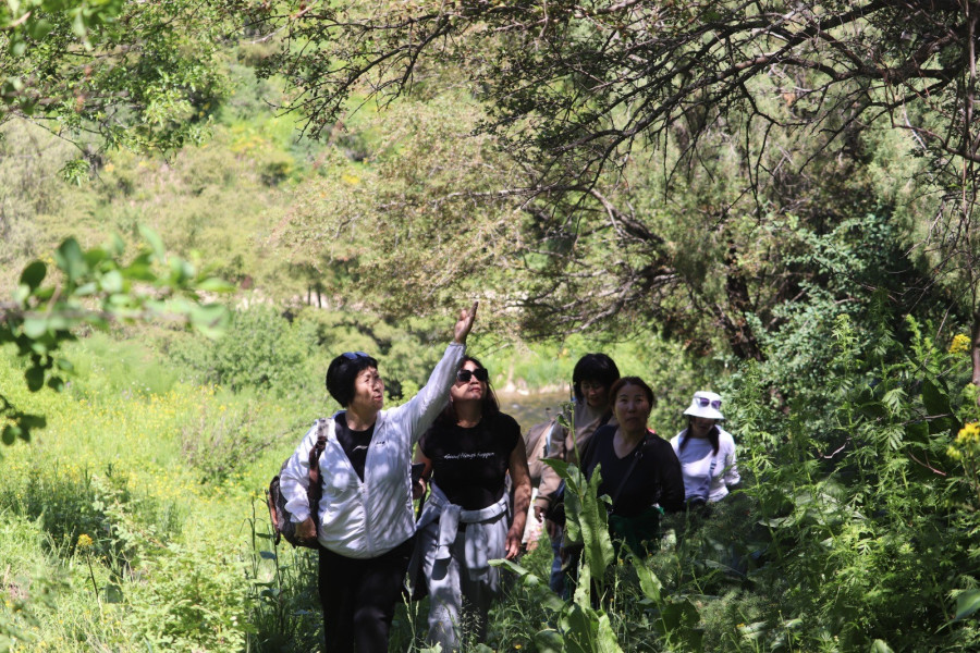 <b>"Studying the Impact of Climate Change on Rare and Endangered Species in Nut-Fruit Forests and on the Ecosystem of the Biosphere Reserve"</b> Project Leader: Z.I. Sakbaeva