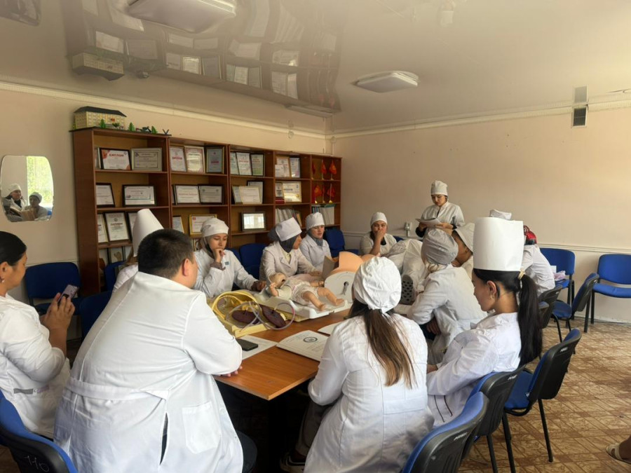 ПРАКТИКА АРКЫЛУУ ТАЖРЫЙБА БОЛОЧОК АКУШЕРЛЕРДИН ӨНҮГҮҮ ЖОЛУ