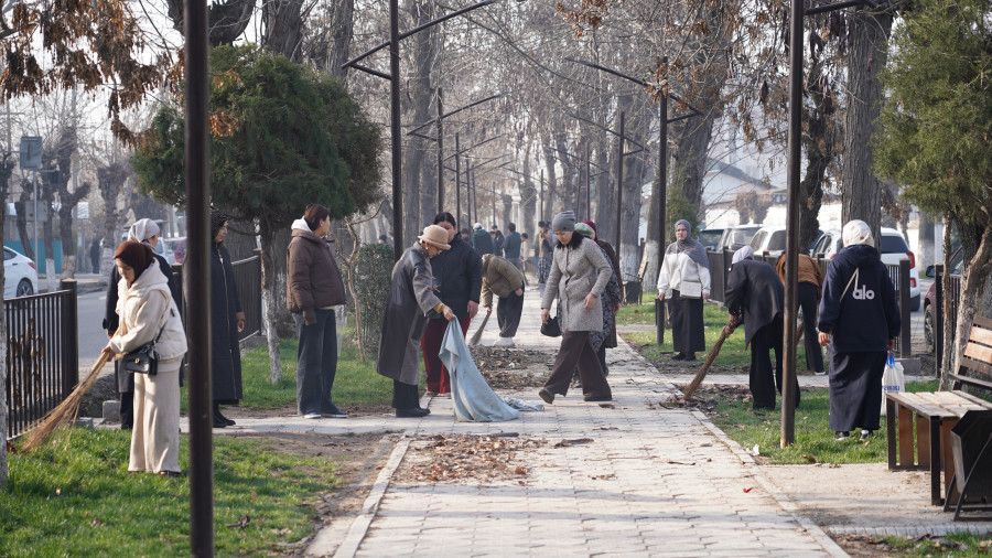 ЖАМУнун жамааты шаардык ишембиликке активдүү катышты