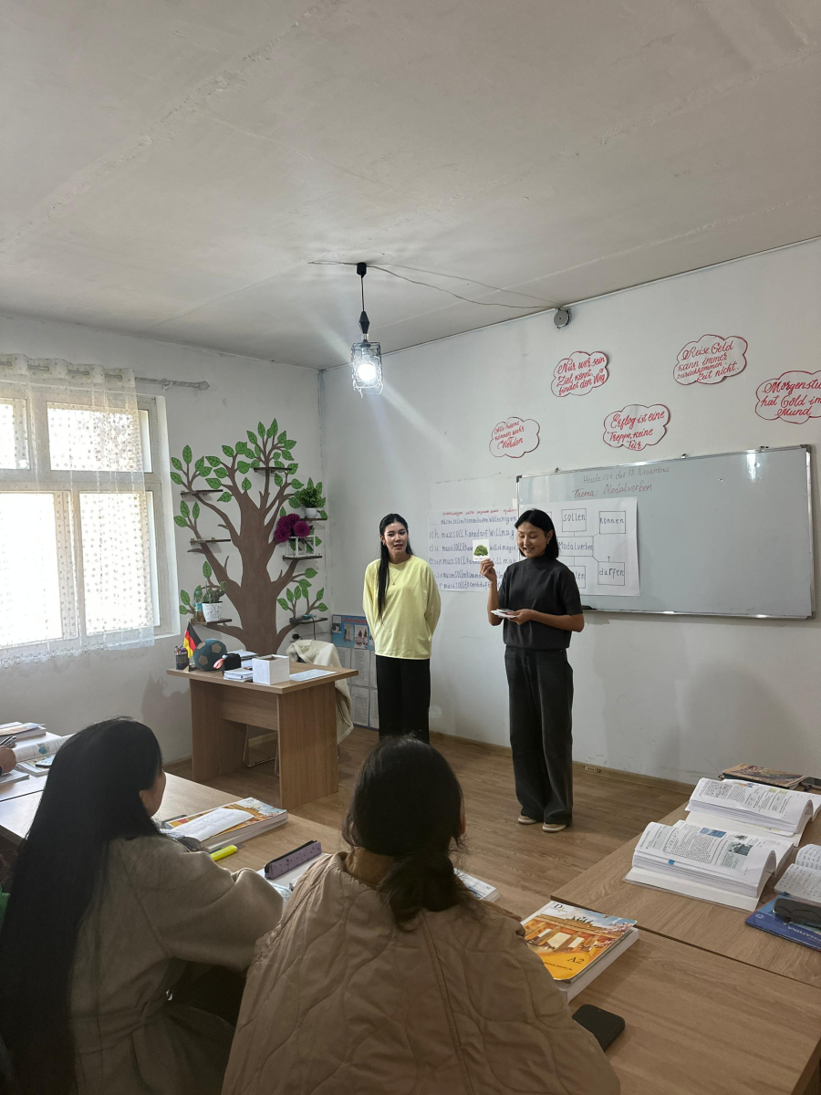 “Developing Students’ Pedagogical Skills During Professional and Specialized Practice”