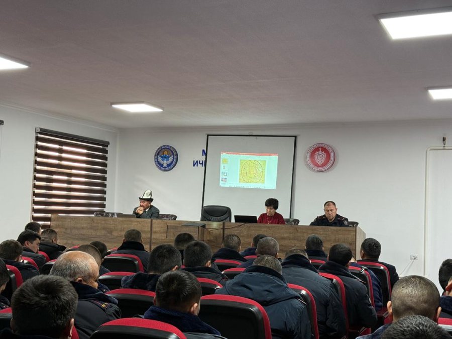 Кыргыз тилинин тарыхы жана түрк тилдеринин арасындагы кыргыз тилинин орду