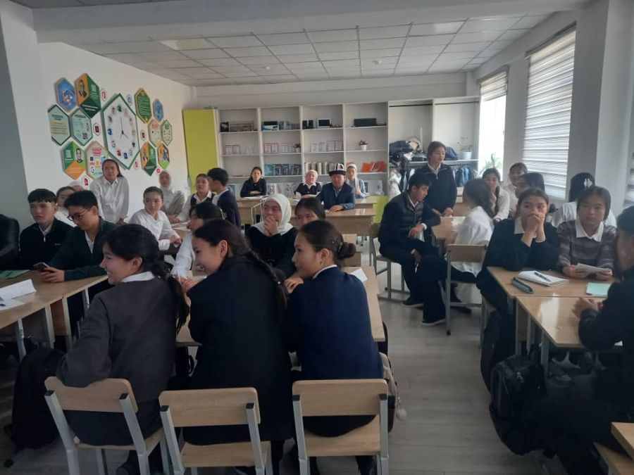 Кесиптик-профилдик практиканы жыйынтыктоо алдындагы сабактар