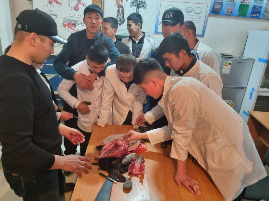 АТИнин Ветеринардык медицина кафедрасынын В-1-25 тайпасы (ЖОО)