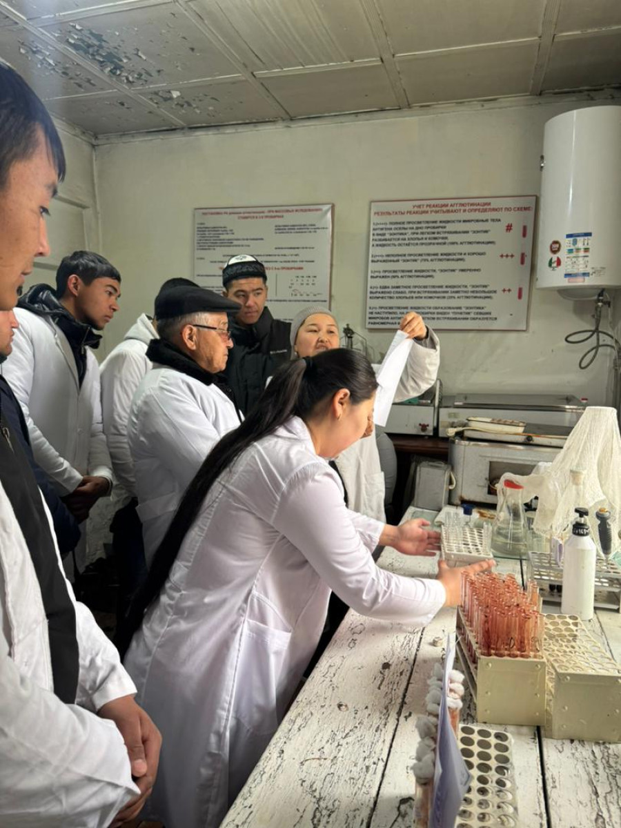 АТИнин Ветеринардык медицина кафедрасынын В-1-23 тайпасынын студенттерине «Вирусология» сабагынан жу...