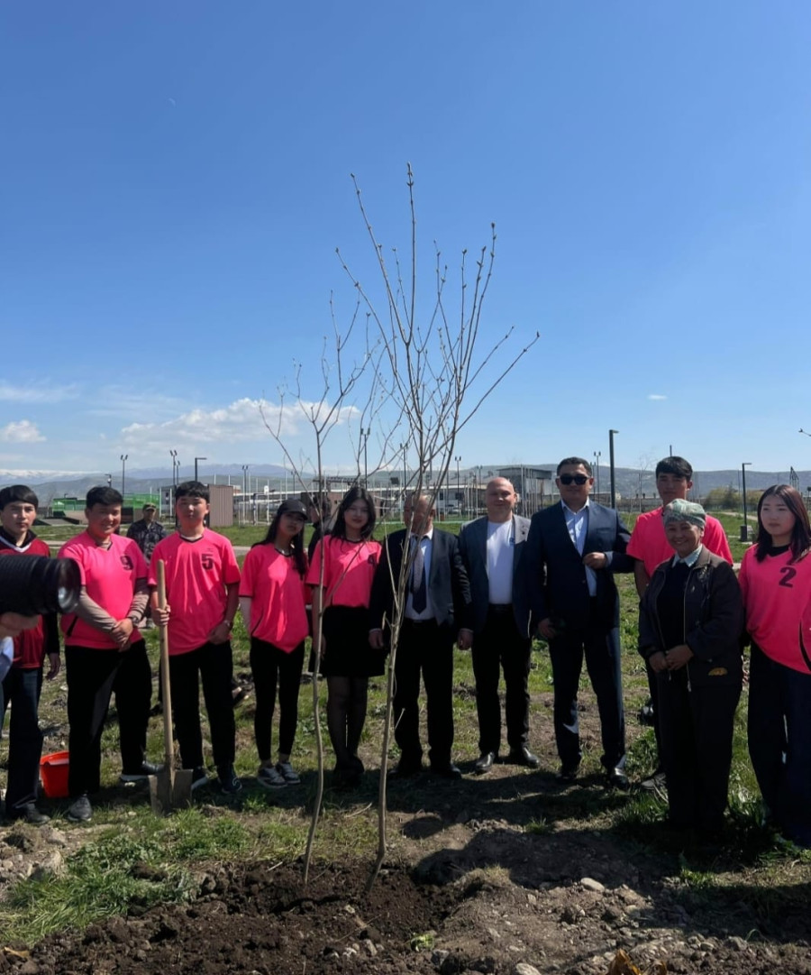 ЖАМУ Манас шаарындагы көчөт отургузуу акциясына активдүү катышты