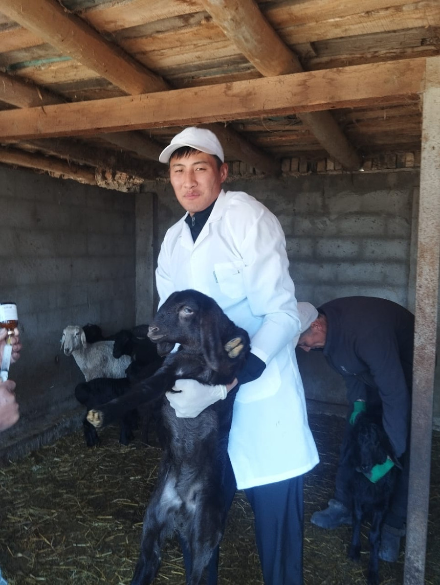 АТИнин Ветеринардык медицина кафедрасынын В-1-22 тайпасынын студенттери өндүрүштүк-врачтык практикад...