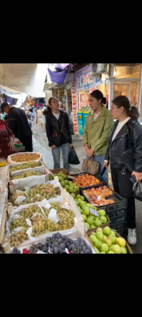 Изображение WhatsApp 2025-10-09 в 12.33.44_911cf903