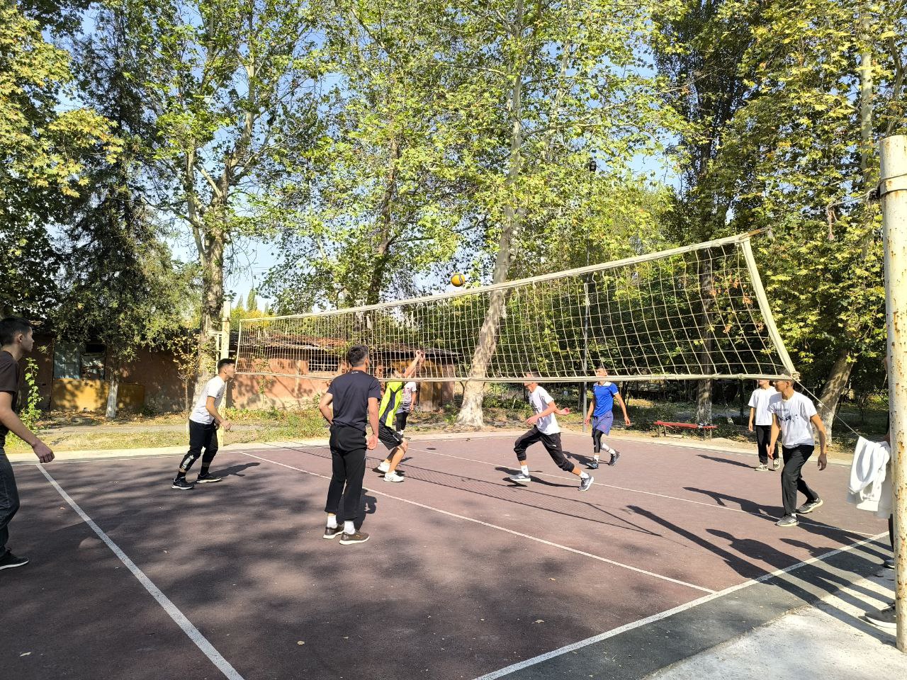 photo_5422533431566402053_y