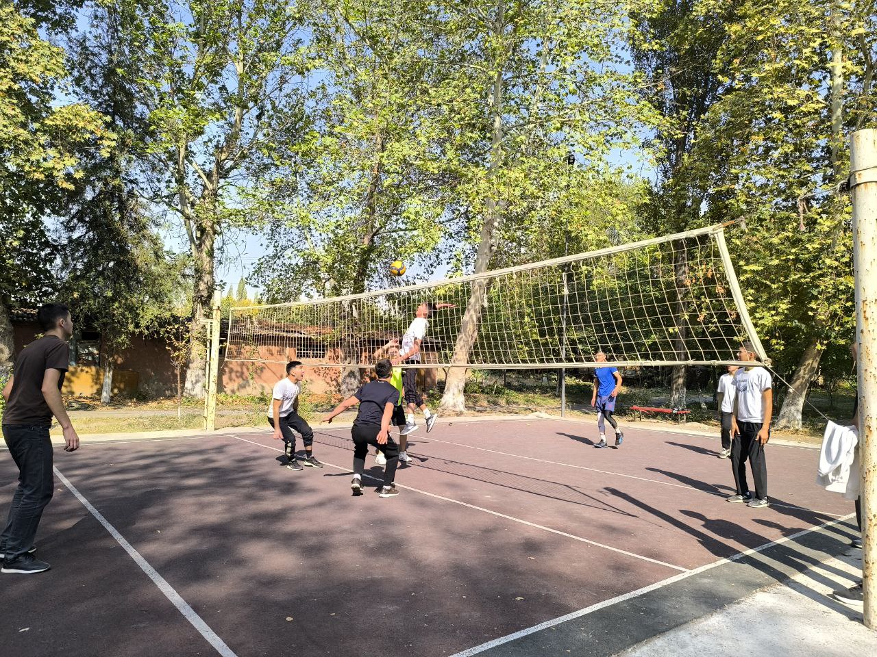 photo_5422533431566402052_y