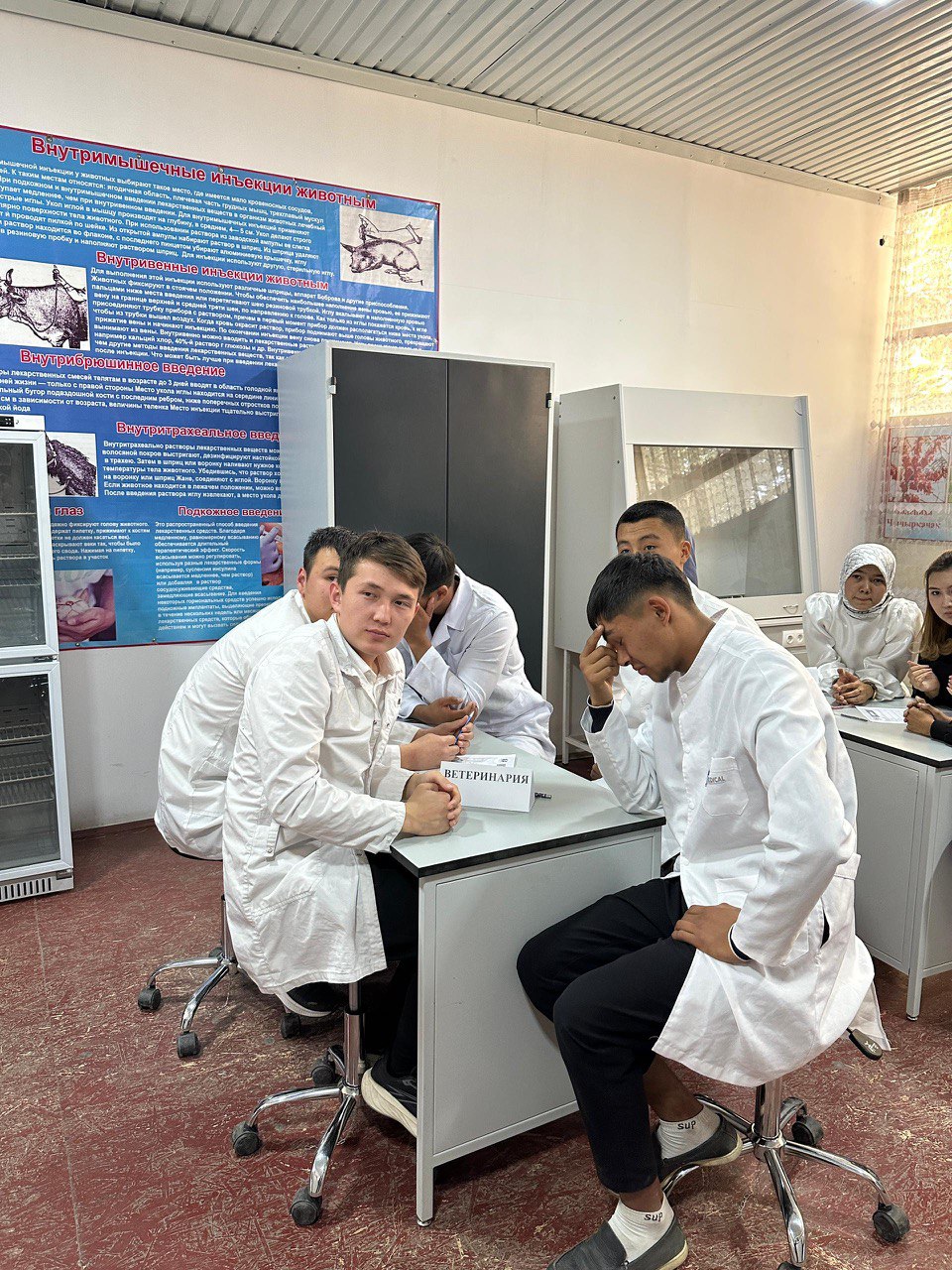 photo_5460868175051749093_y