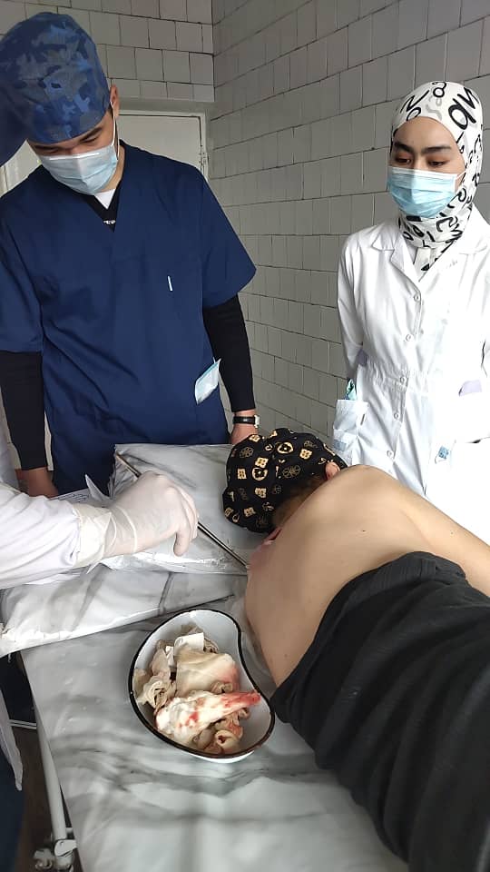 Изображение WhatsApp 2025-03-11 в 13.09.01_b3f08854