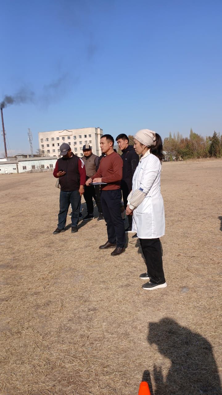 photo_5231425095048302104_y