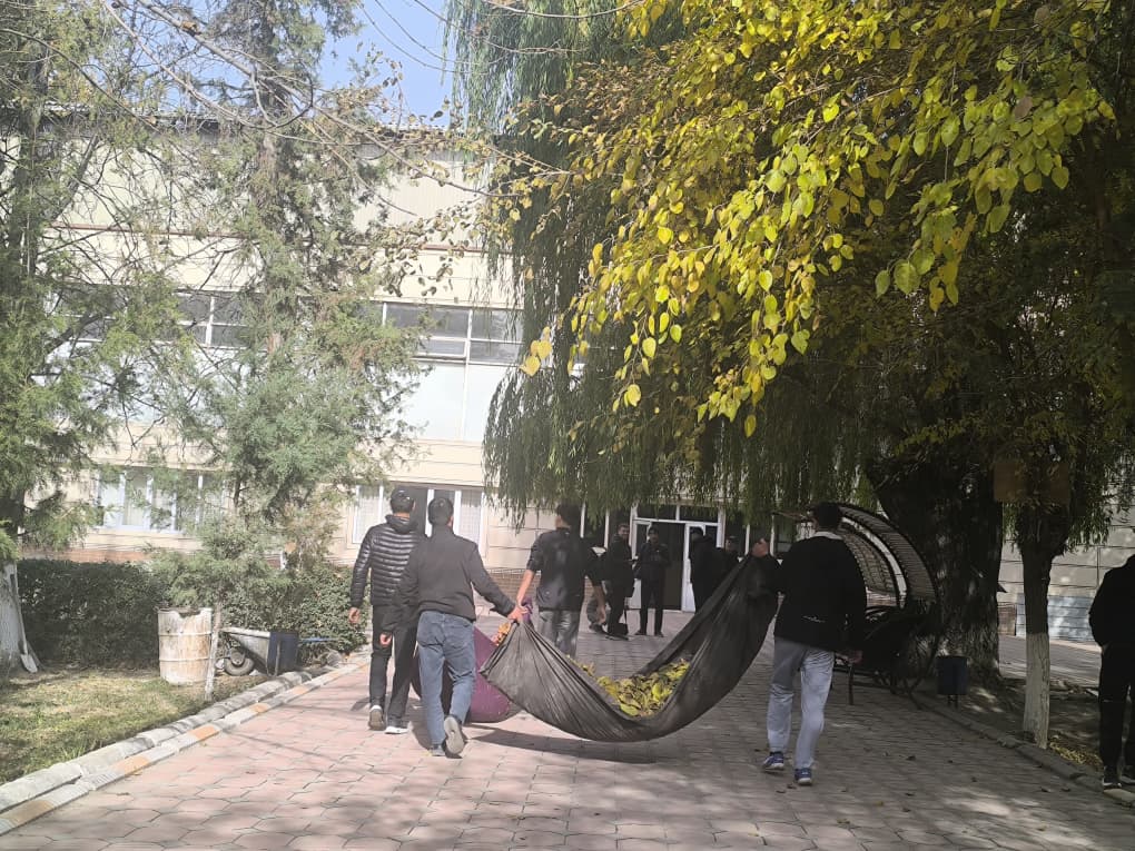 WhatsApp Image 2025-11-14 at 16.59.07 (1)