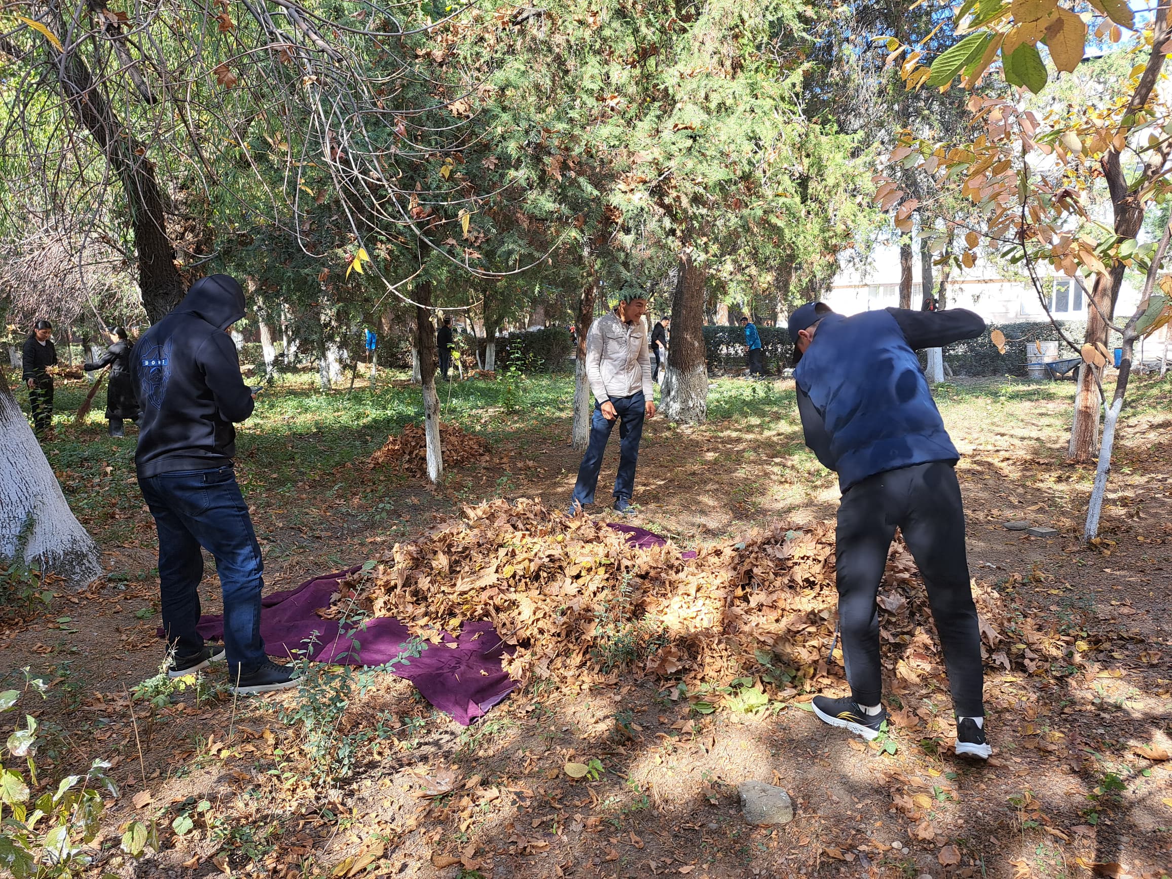 WhatsApp Image 2025-11-14 at 16.59.07