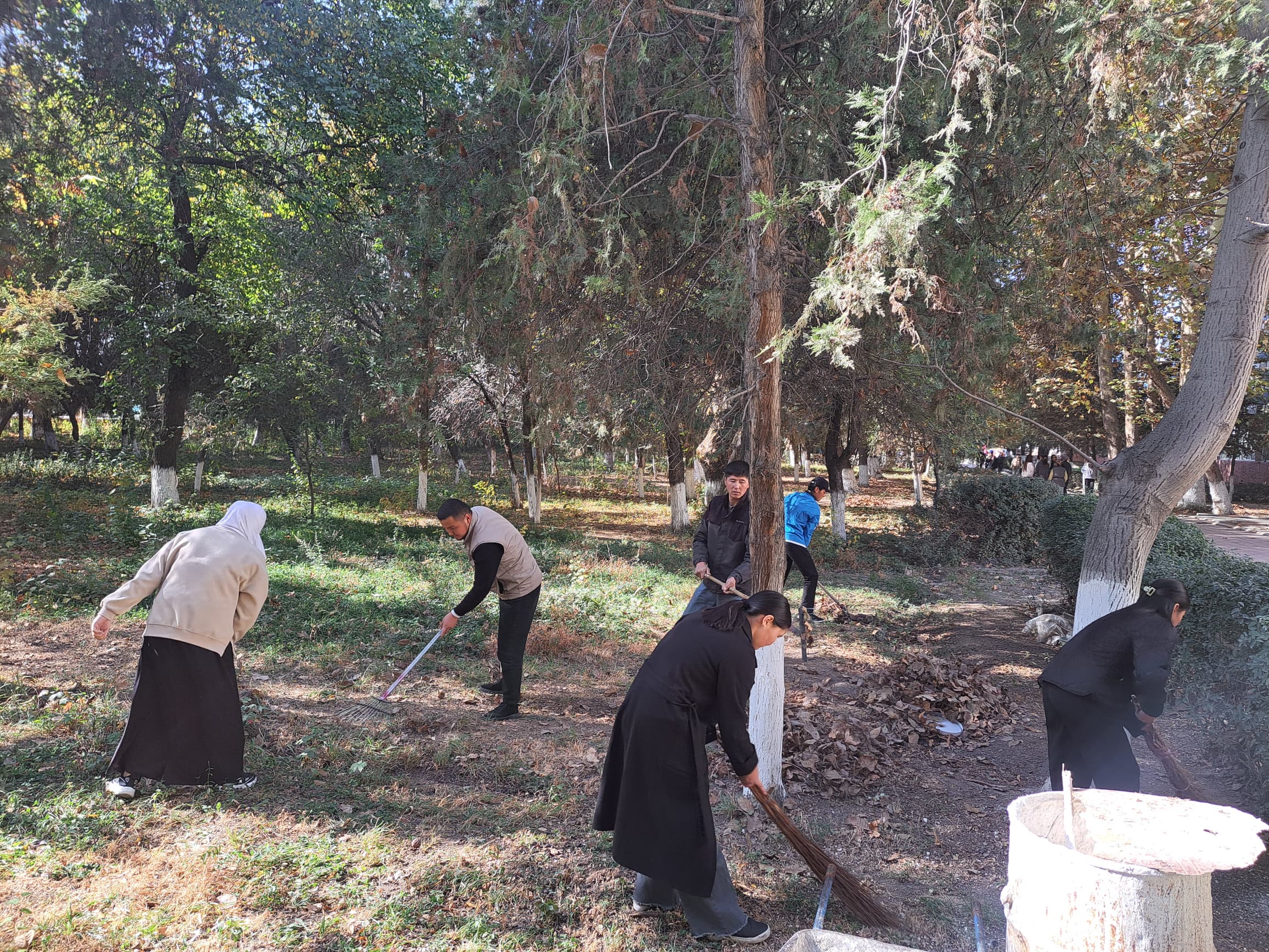 WhatsApp Image 2025-11-14 at 16.59.08 (1)