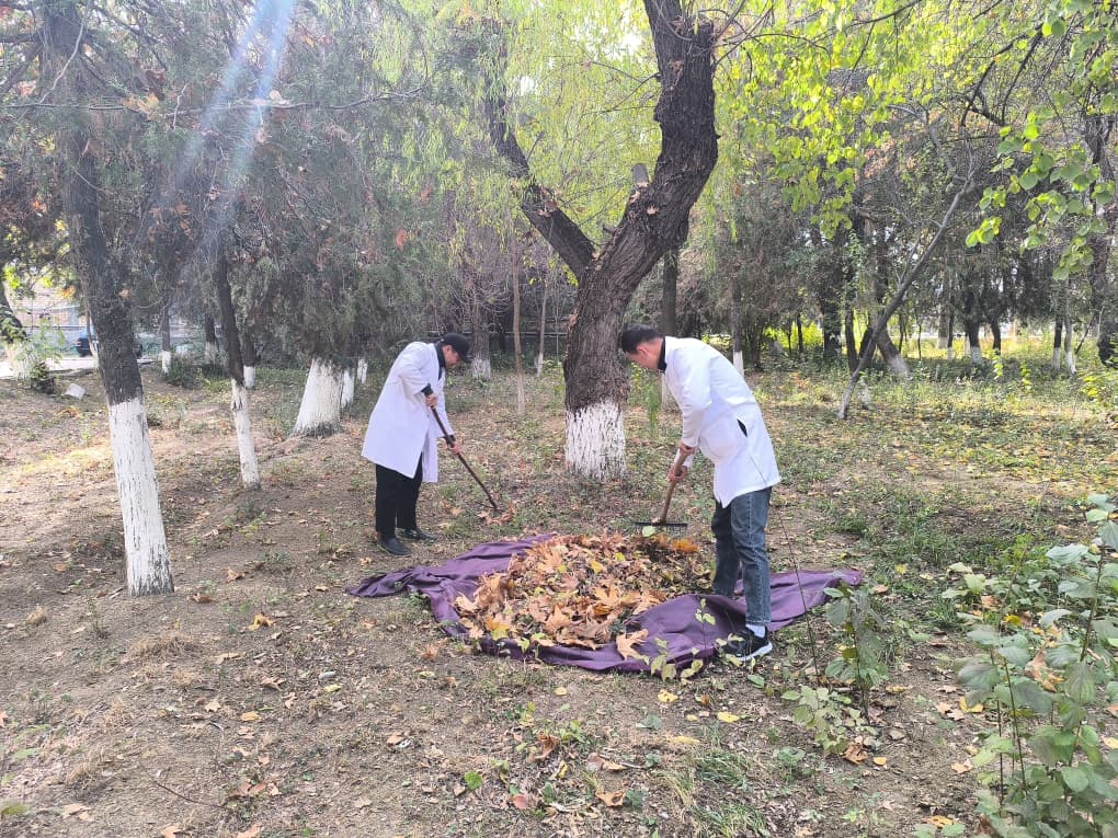 WhatsApp Image 2025-11-14 at 16.59.08 (2)