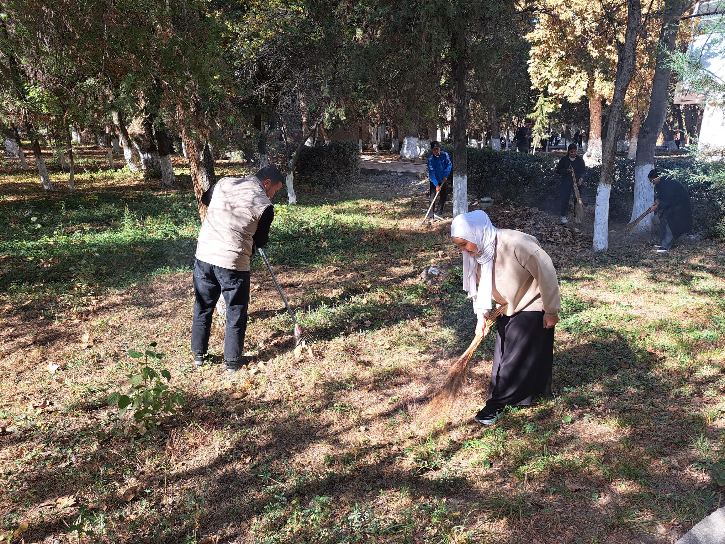 WhatsApp Image 2025-11-14 at 16.59.09 (1)