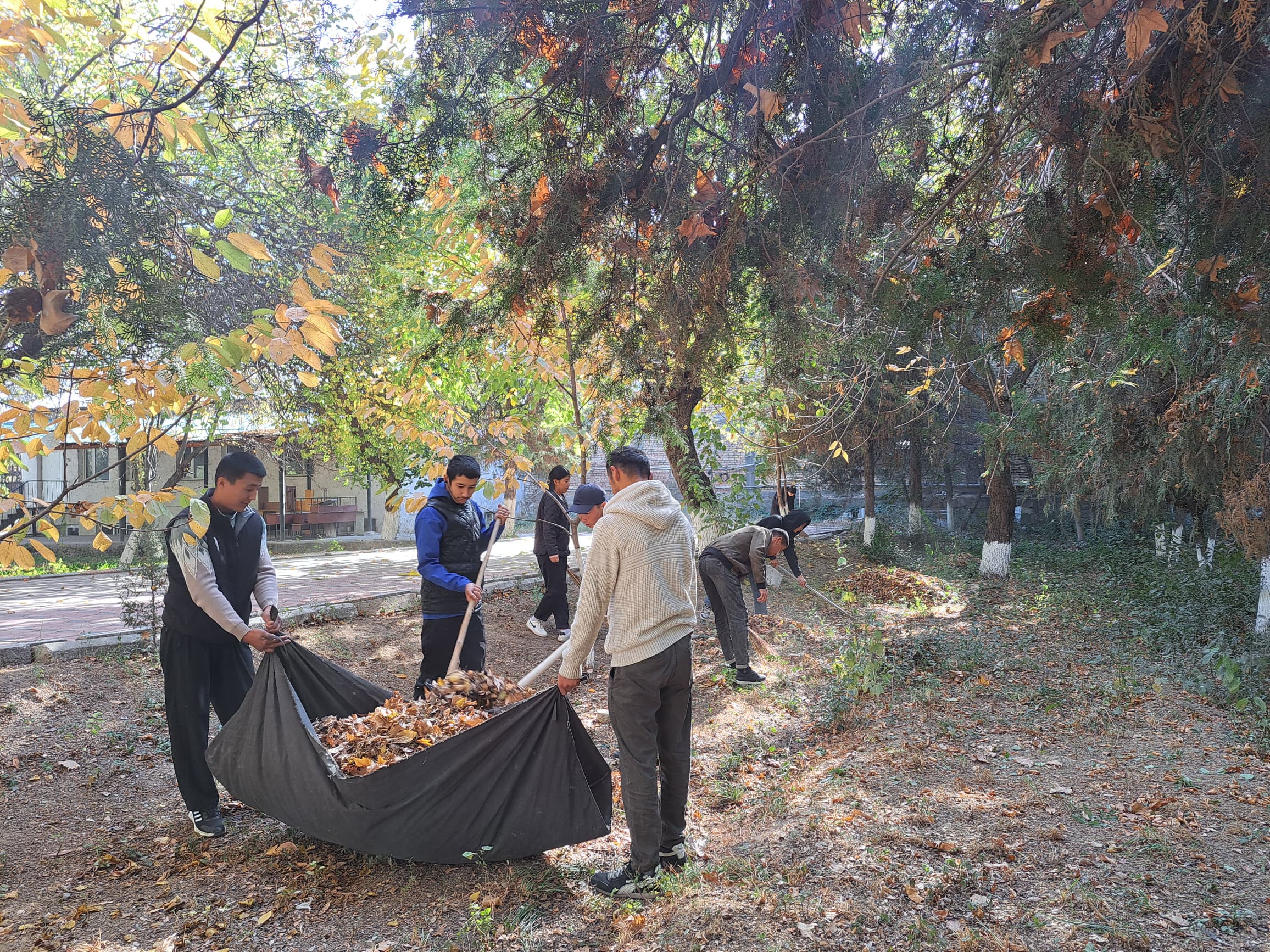 WhatsApp Image 2025-11-14 at 16.59.09