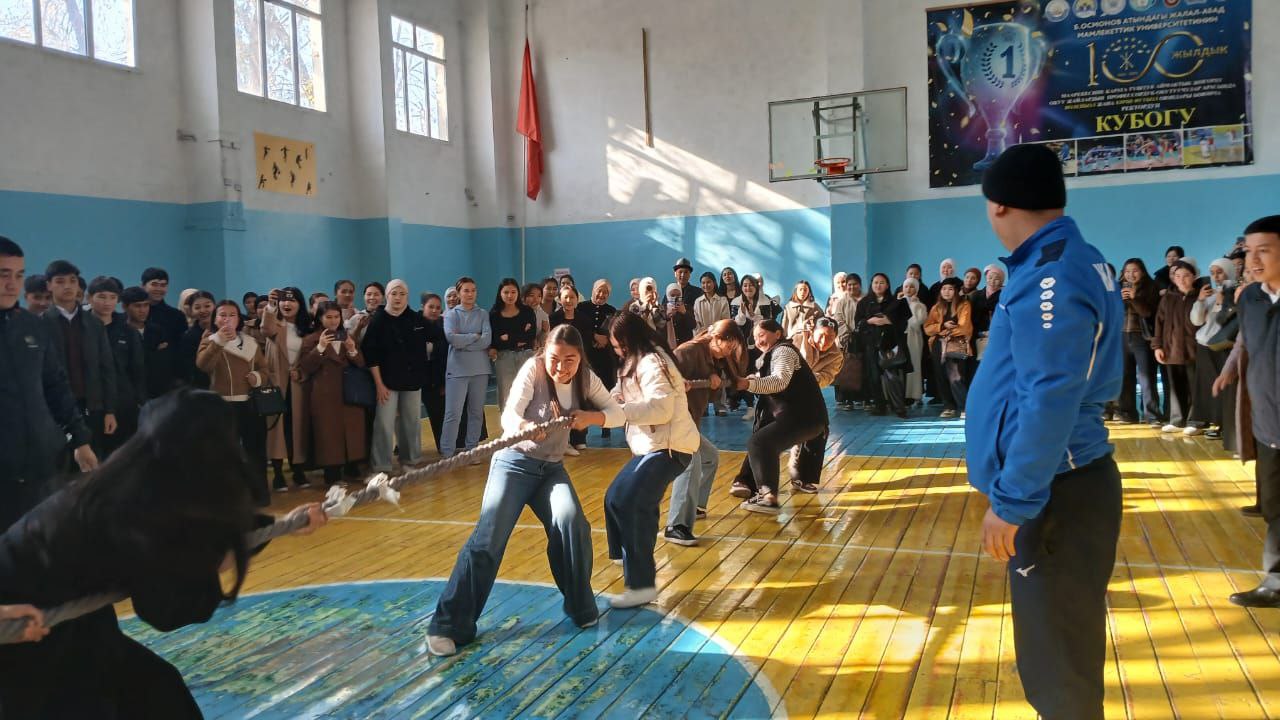 photo_5260246215390072065_y