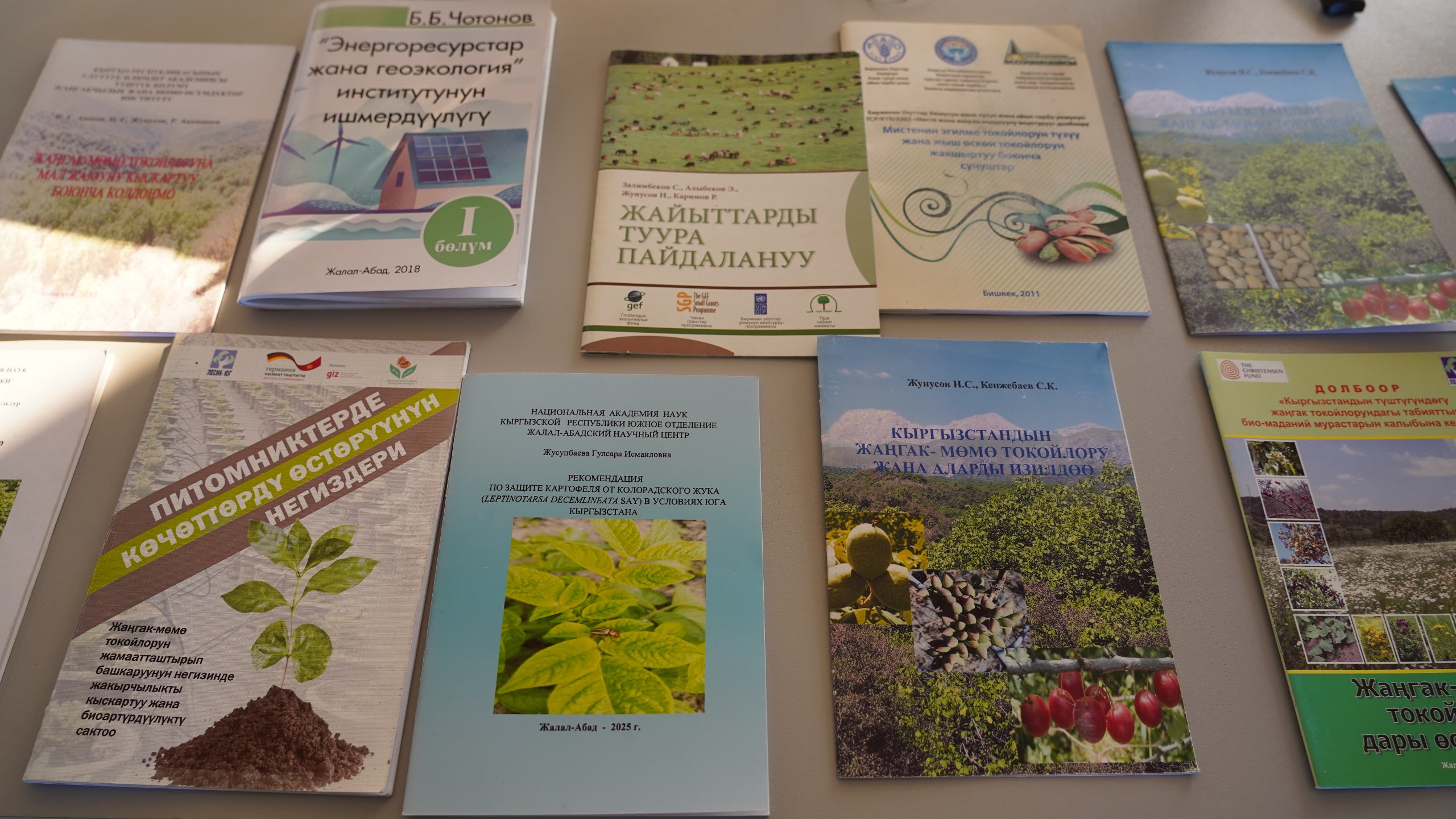 photo_5260324843356360715_w