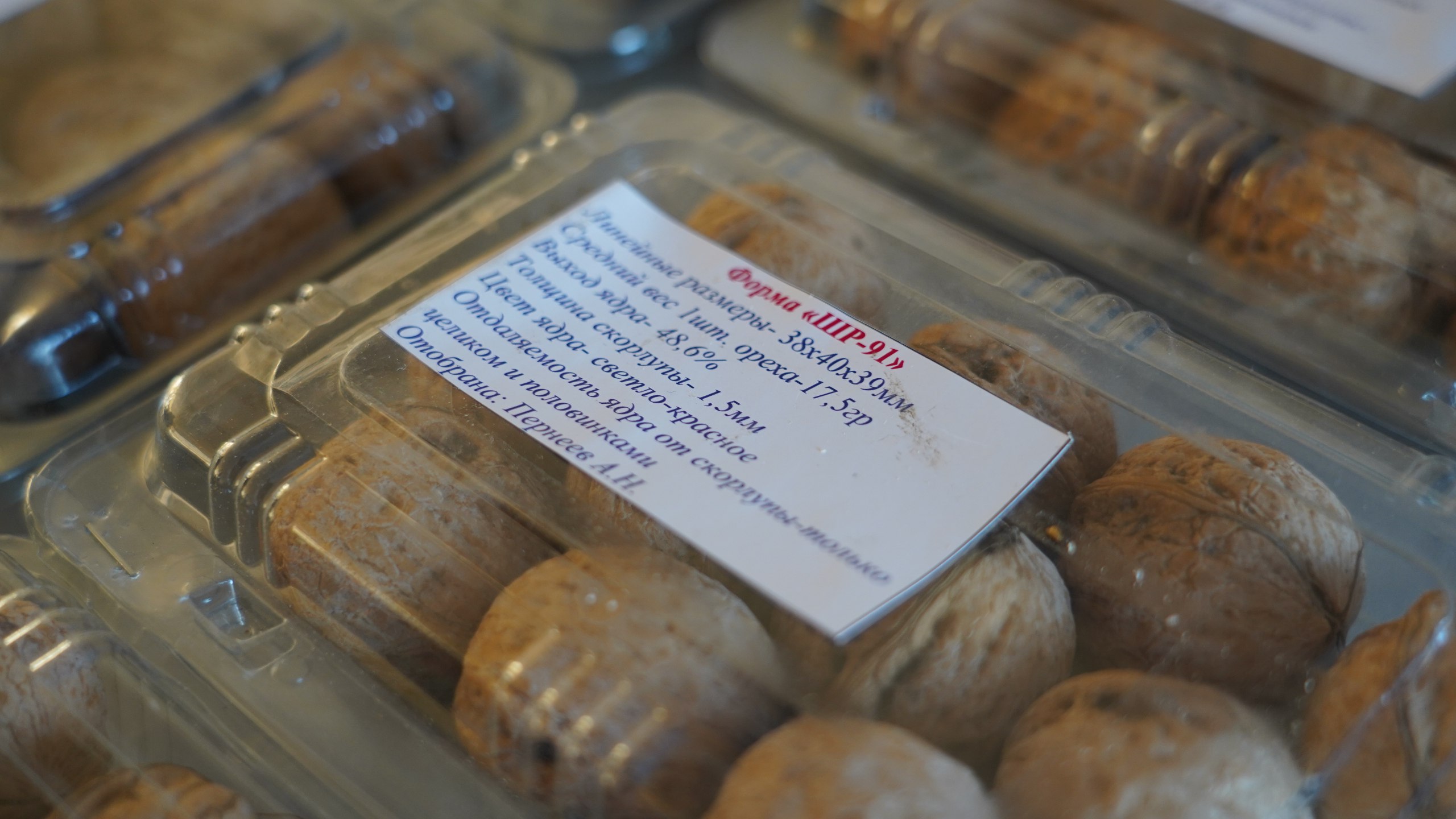 photo_5260324843356360713_w