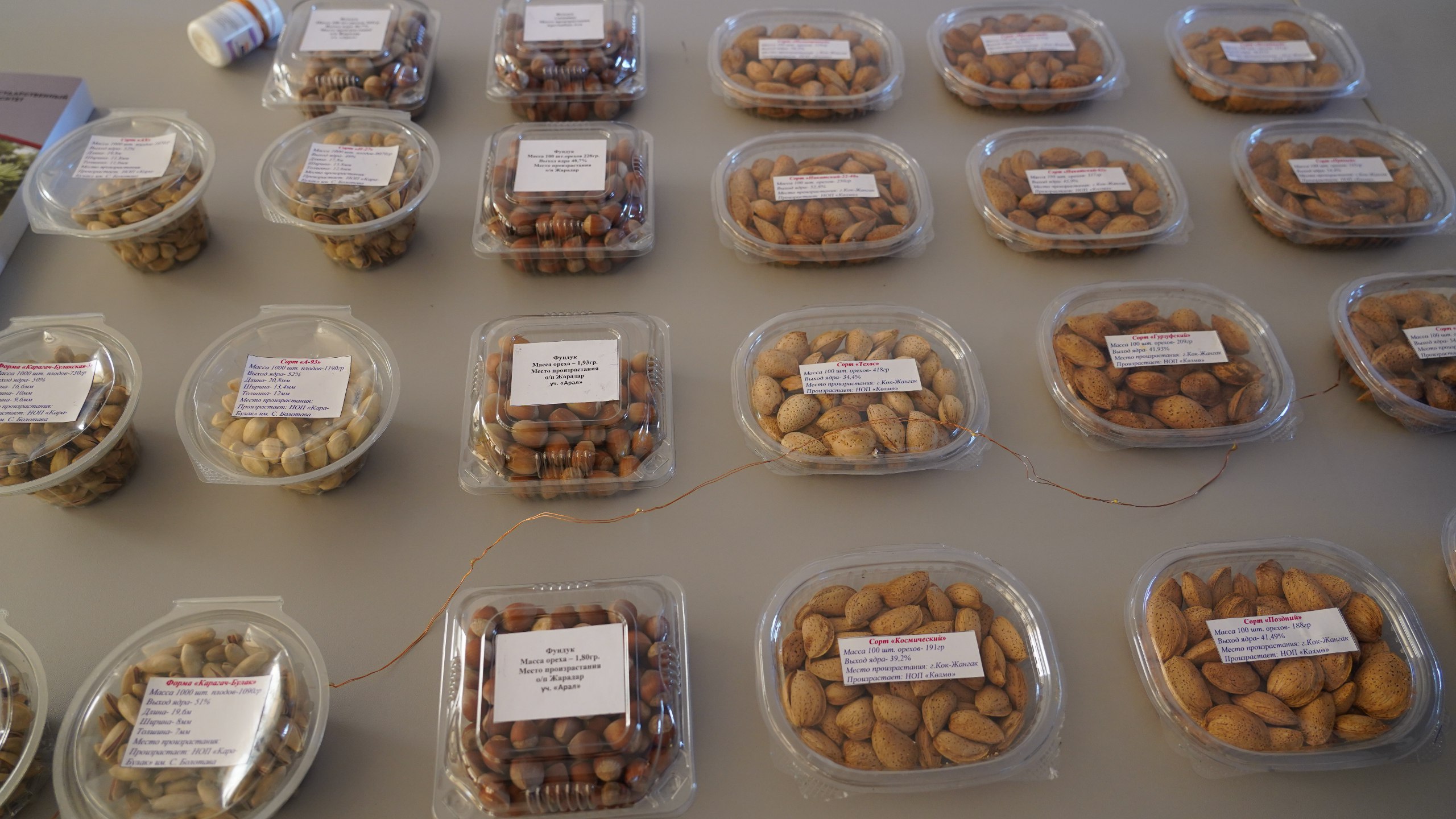 photo_5260324843356360711_w