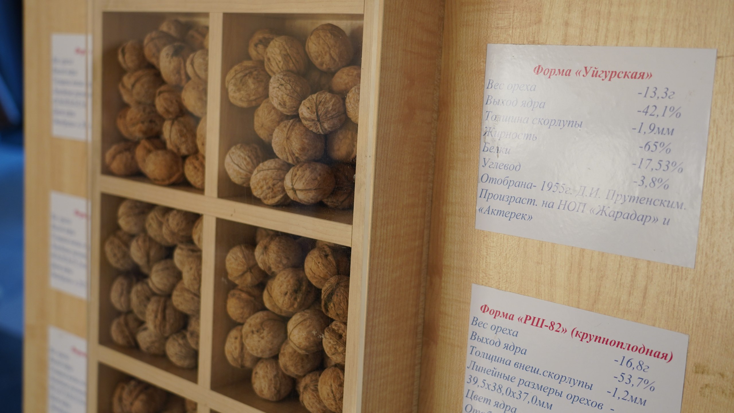 photo_5260324843356360714_w