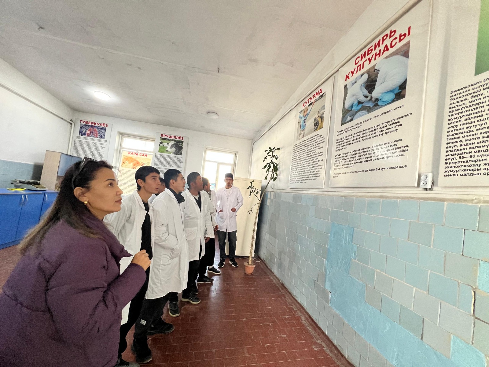 Изображение WhatsApp 2025-11-25 в 11.45.05_f8dafa03