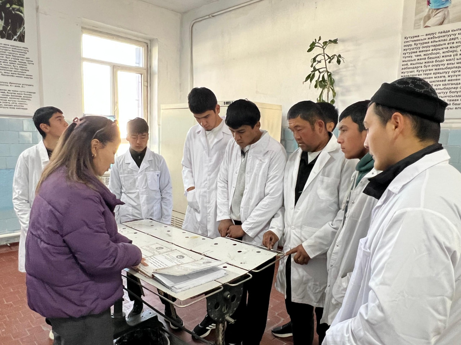 Изображение WhatsApp 2025-11-25 в 11.45.16_62436d27