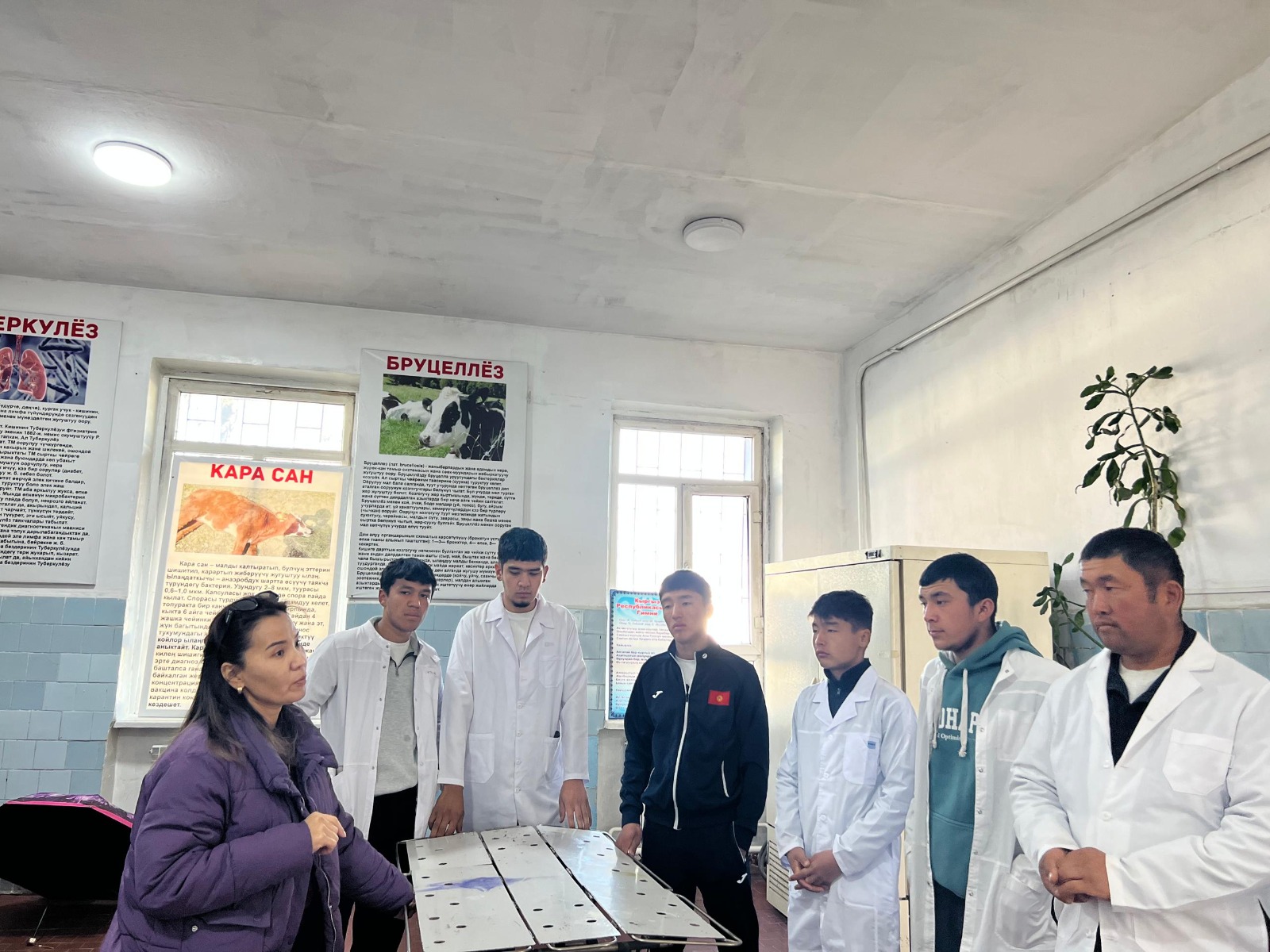 Изображение WhatsApp 2025-11-25 в 11.45.19_1674f6a4