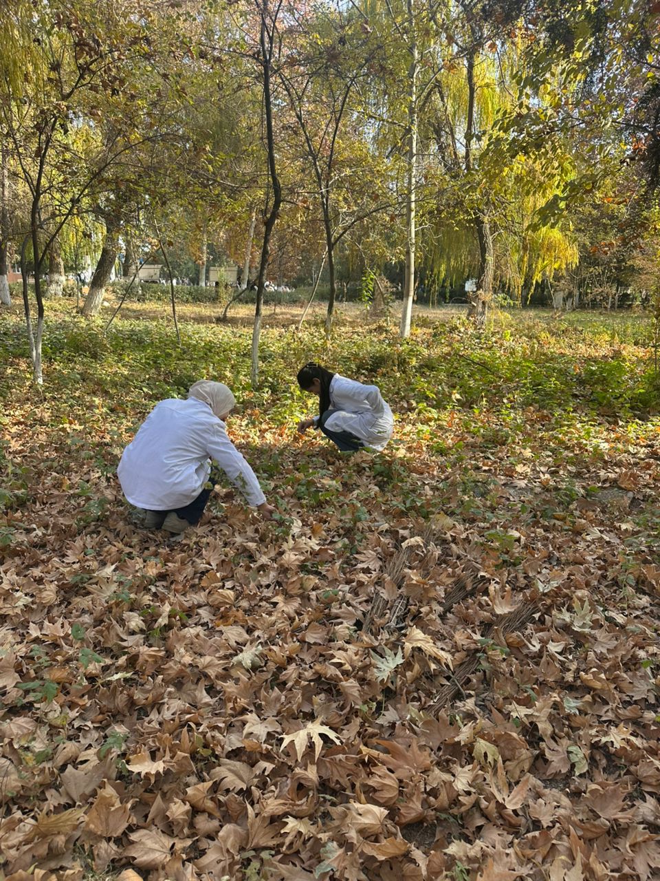 WhatsApp Image 2025-11-26 at 22.28.19