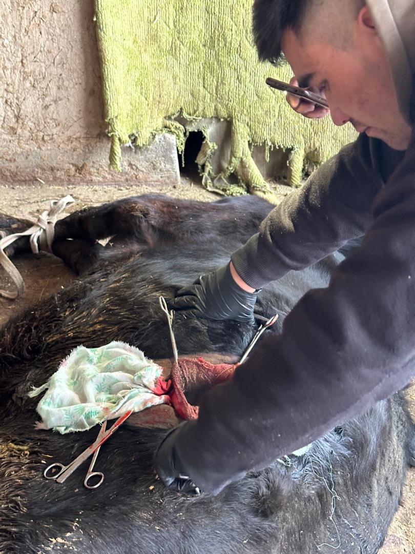 WhatsApp Image 2025-12-10 at 15.11.14 (1)