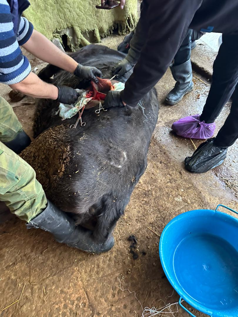 WhatsApp Image 2025-12-10 at 15.11.14 (2)