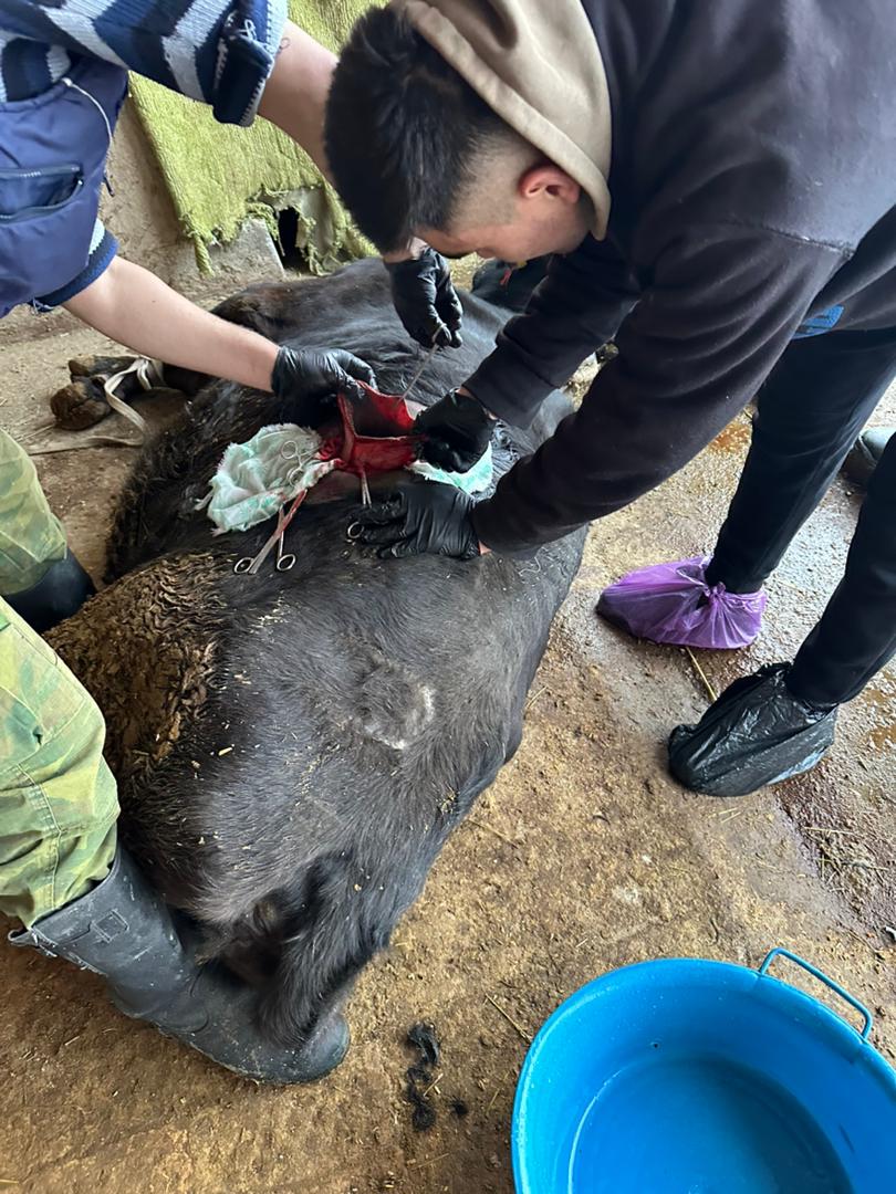 WhatsApp Image 2025-12-10 at 15.11.14 (3)