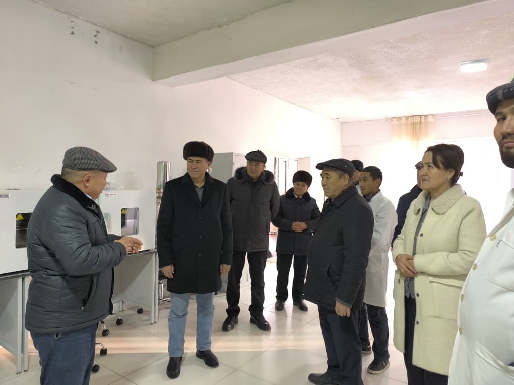 WhatsApp Image 2025-12-26 at 08.47.07