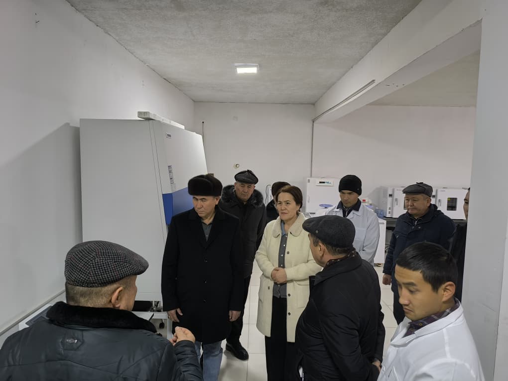 WhatsApp Image 2025-12-26 at 08.47.09