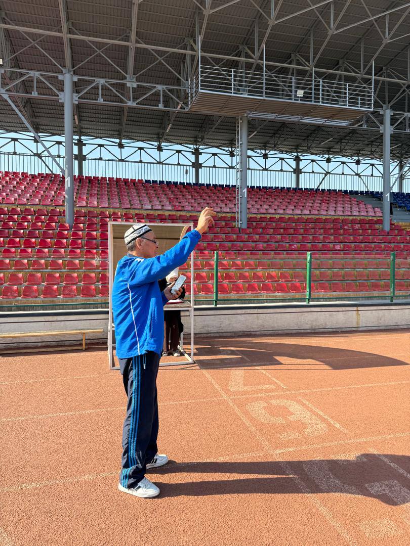 photo_5361607280366915130_y