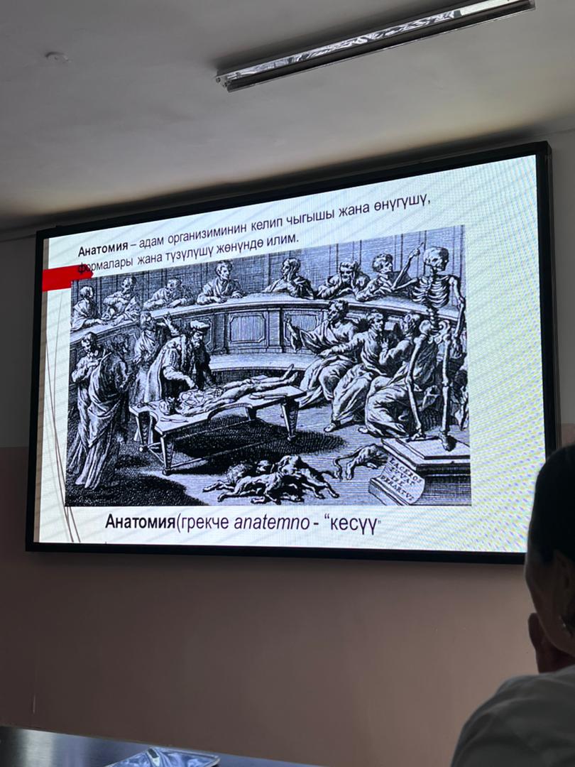 WhatsApp Image 2026-02-02 at 12.00.00