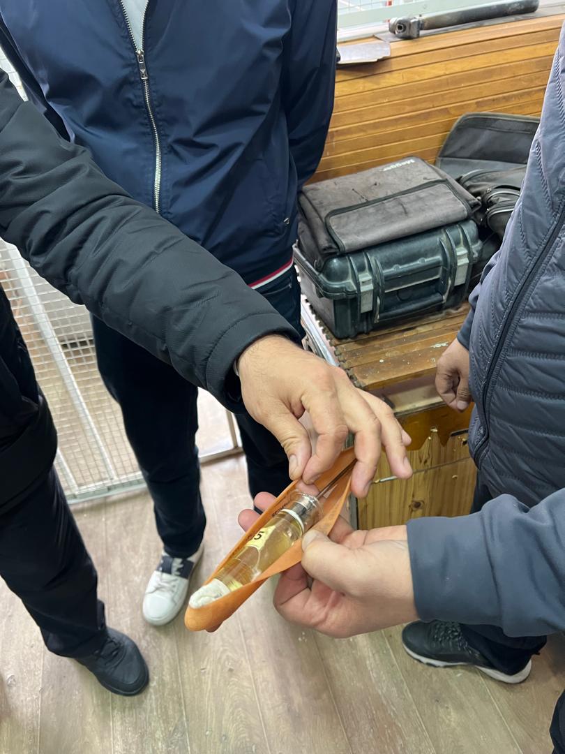 WhatsApp Image 2026-02-24 at 08.32.33 (3)