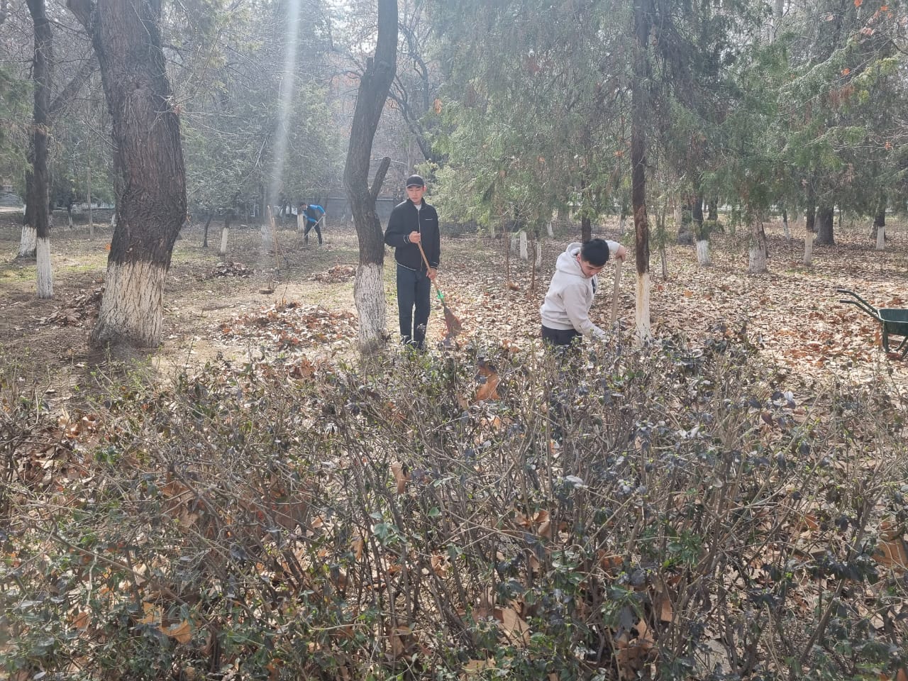 WhatsApp Image 2026-02-25 at 11.11.52 (3)