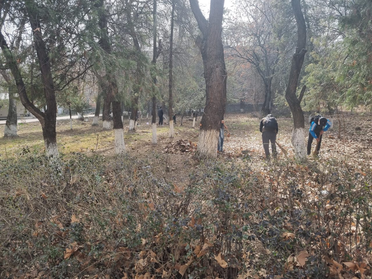 WhatsApp Image 2026-02-25 at 11.11.52 (2)