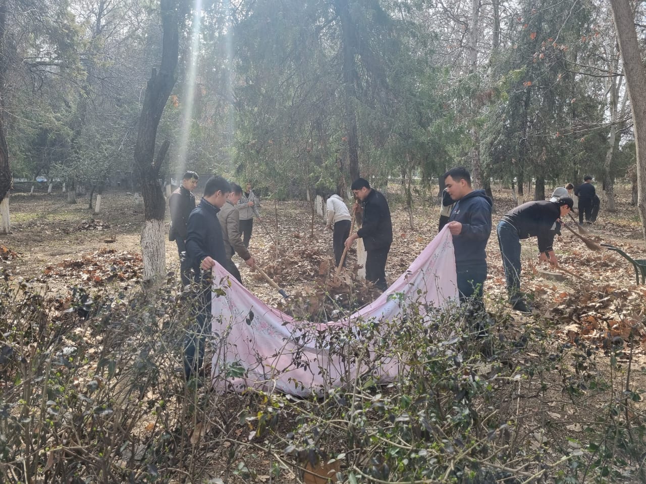 WhatsApp Image 2026-02-25 at 11.11.52 (1)