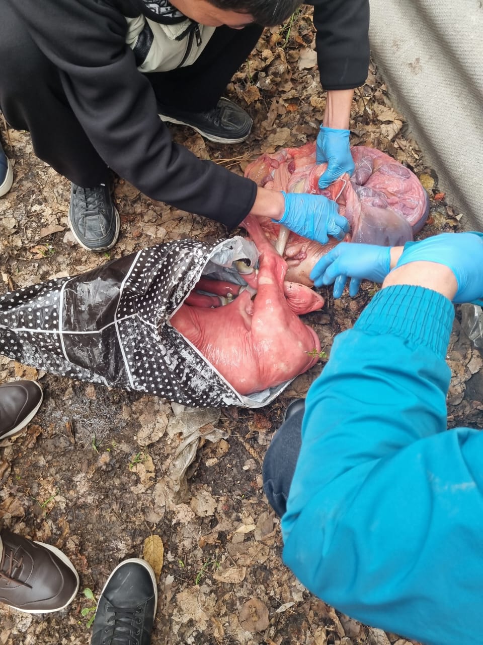 WhatsApp Image 2026-03-03 at 15.52.15