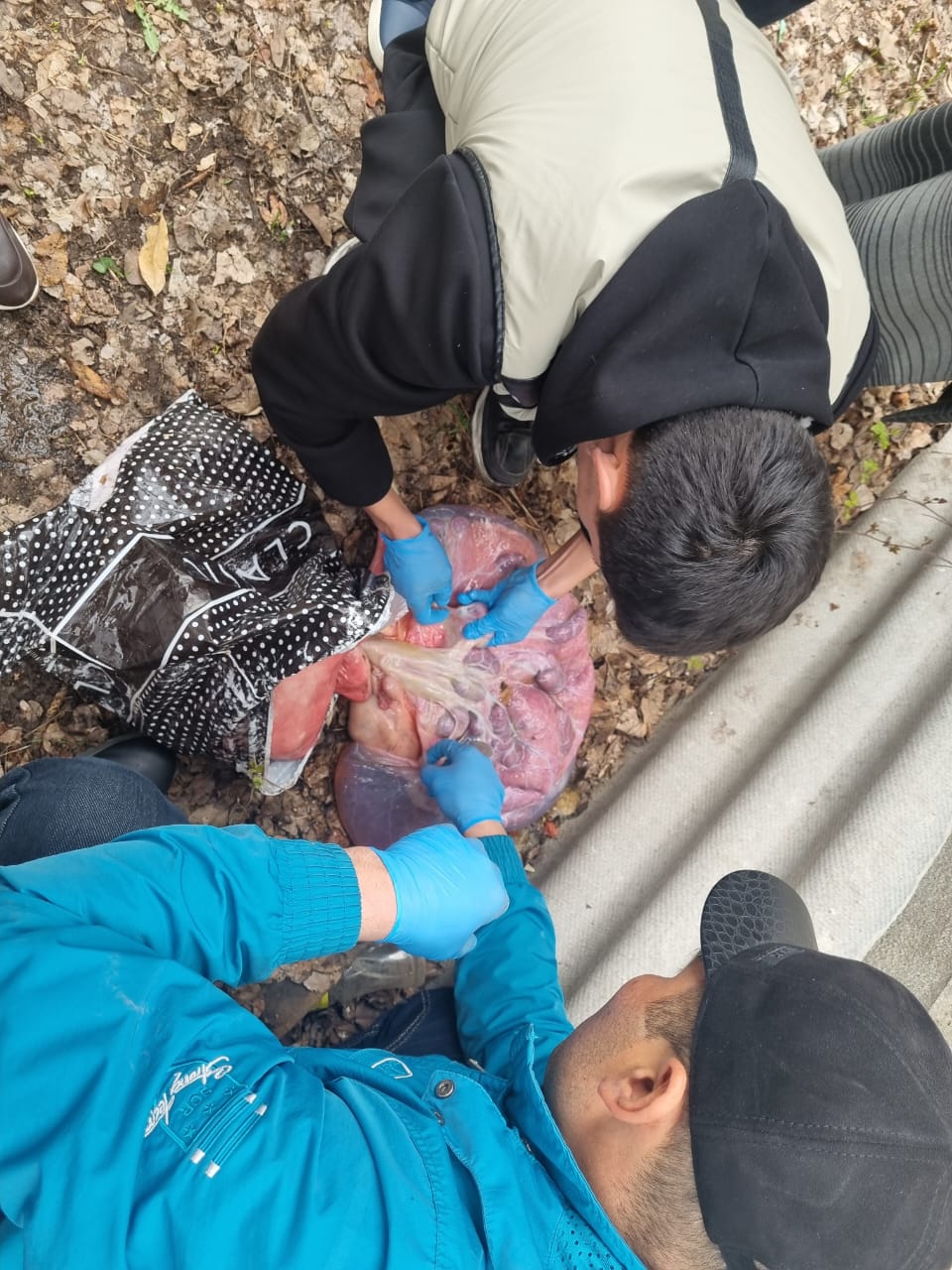 WhatsApp Image 2026-03-03 at 15.52.15 (4)