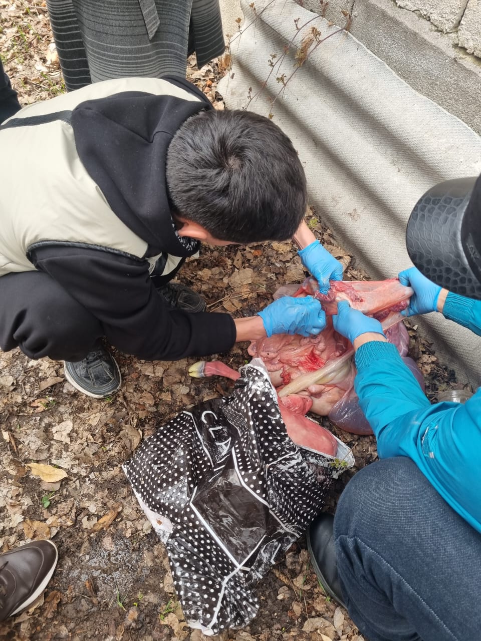 WhatsApp Image 2026-03-03 at 15.52.15 (3)