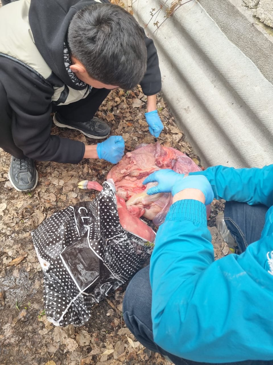 WhatsApp Image 2026-03-03 at 15.52.15 (2)